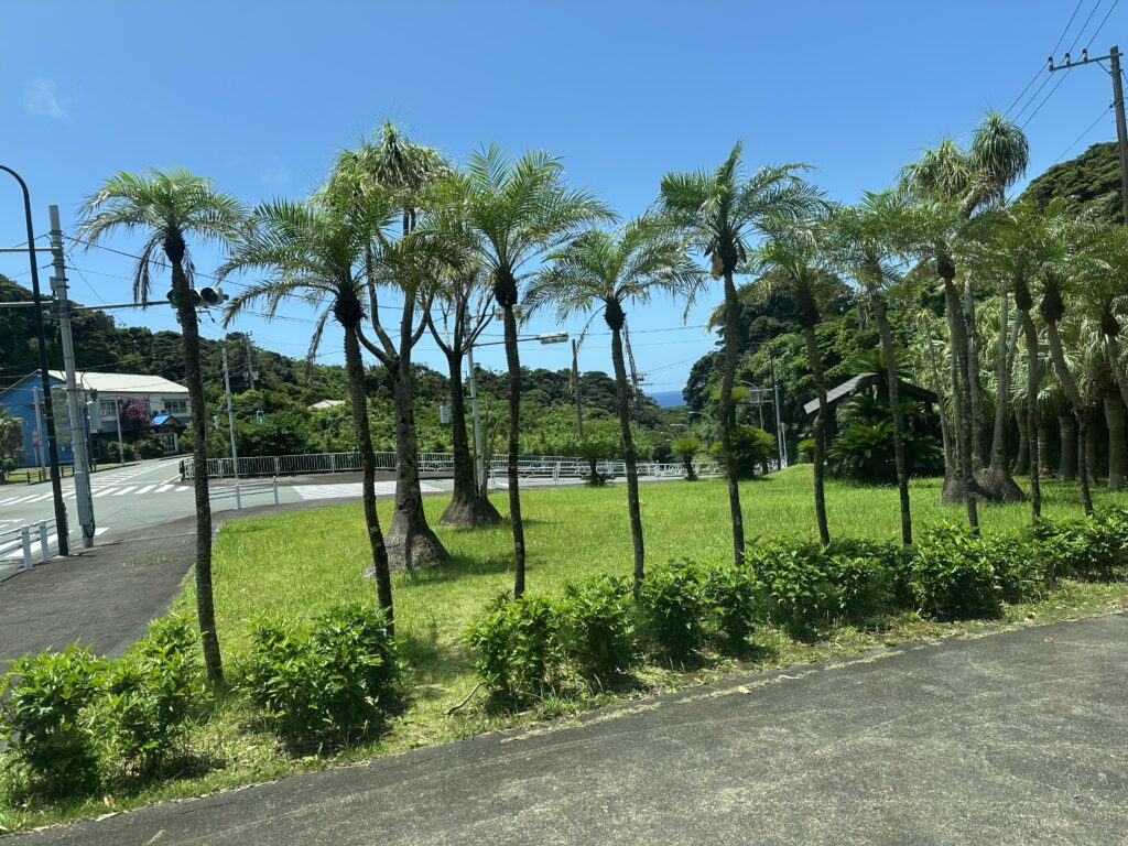 フェニックスロベ