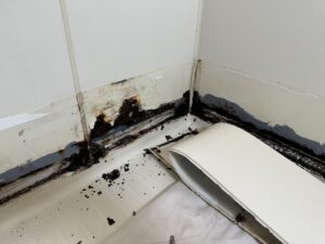 劣化したユニットバス幕板を取り外した状態