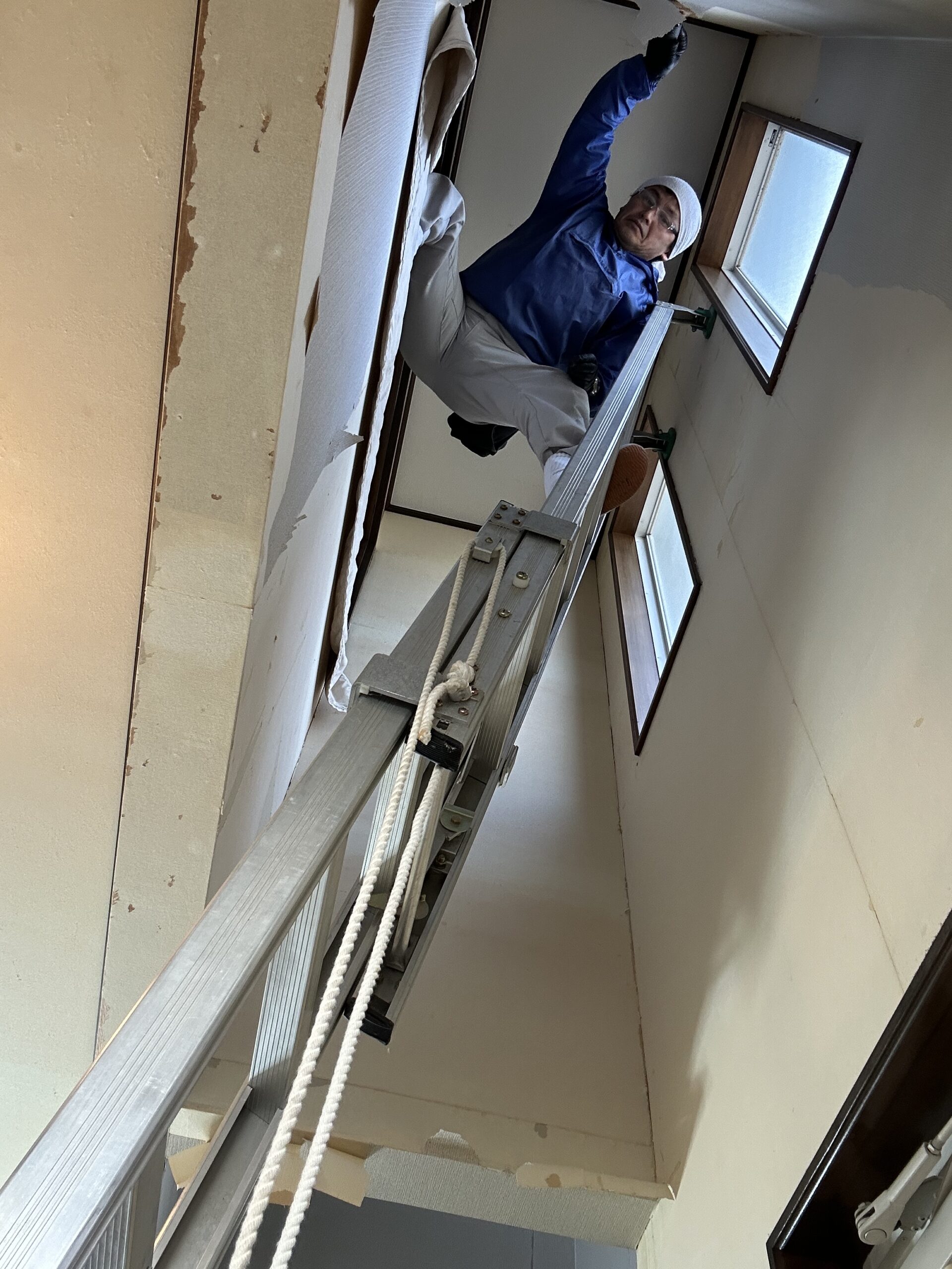 梯子の上段にて壁紙を剥がしてる様子の写真です。