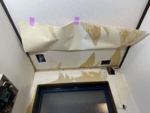 クロスを捲り上げ石膏ボード切り開き