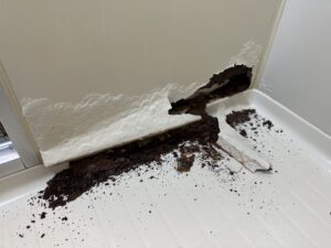 浴室パネル内部の腐食部分を除去した様子