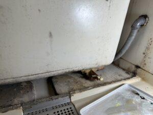 浴槽裏側からひび割れ箇所を確認している様子