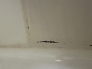 亀裂のように見える浴槽内の既存下地